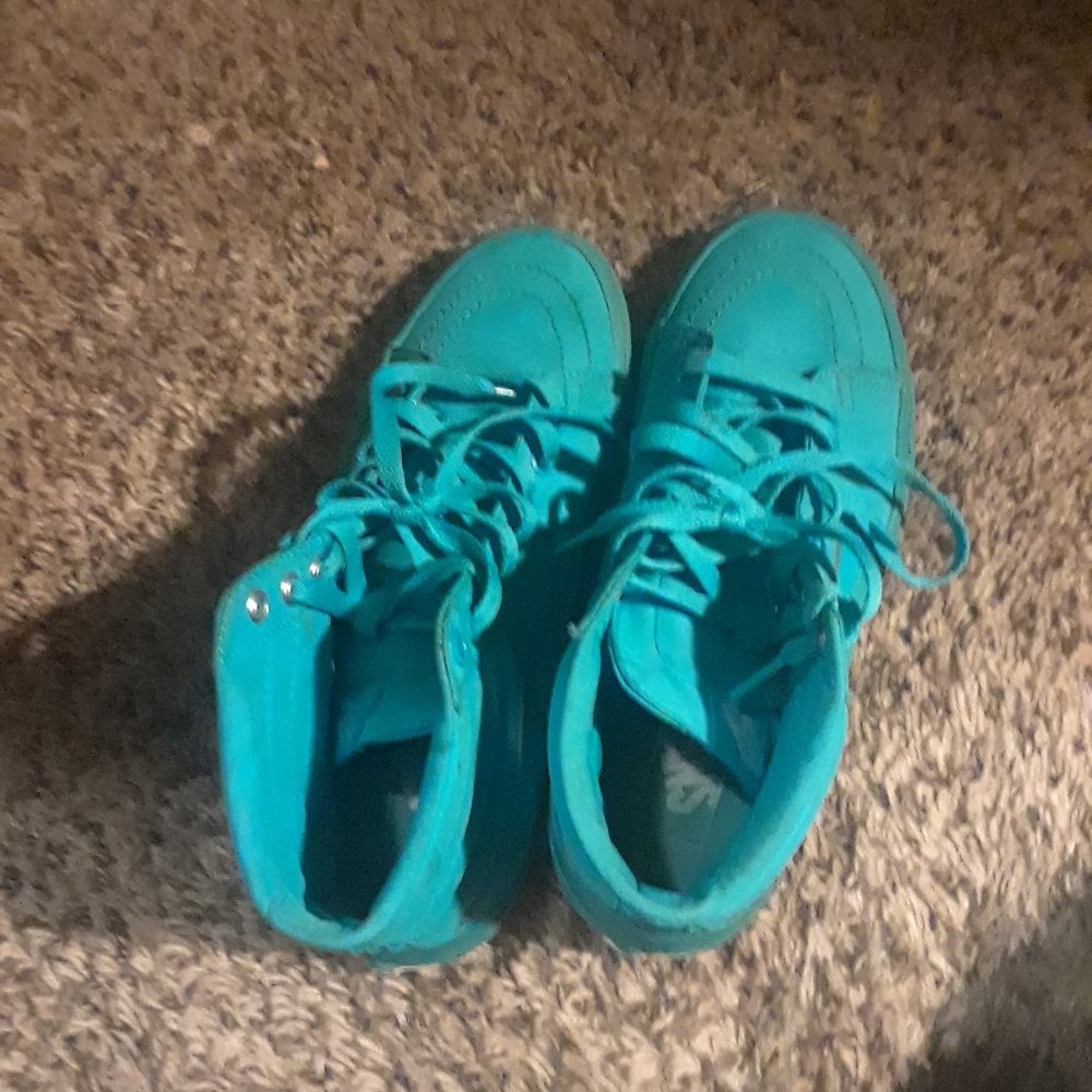 Van's Unisex Skate shoes.